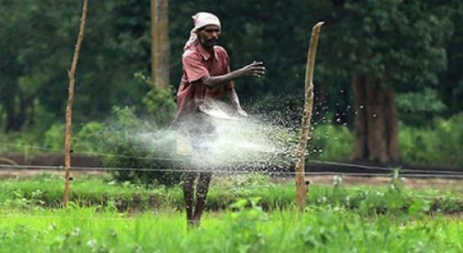 பொன்னி சம்பாவில் அதிக ரசாயனம் உள்ளது - அமைச்சர் தயாசிறி