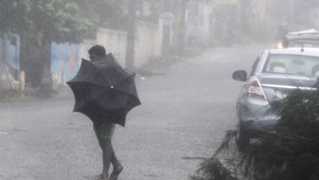 இன்றும் மழை நீடிக்கும்