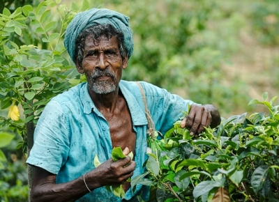 நிதி பற்றாக்குறை என சம்பளம் வழங்கப்படவில்லை