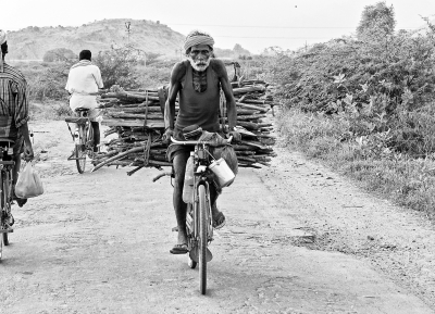 எரிபொருள் தட்டுபாடு ஒரு பக்கம் இருக்க ஓன்லைனில் விறகு விற்பனை