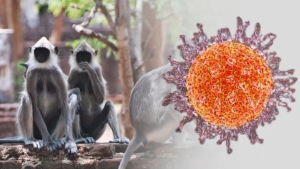 புதிய நோய் பரவல் குறித்து எச்சரிக்கை