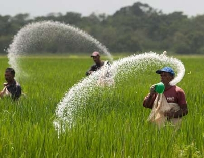 கடனுக்கு வரும் உரமும் தாமதம்