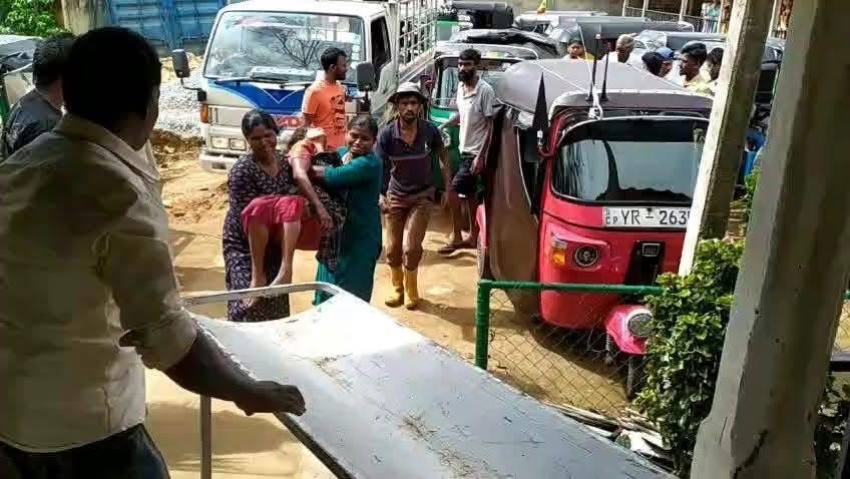 குளவி கொட்டுக்கு இலக்கான 12 தோட்ட தொழிலாளர்கள்