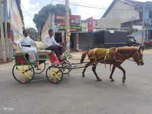 எரிபொருள் இல்லை, குதிரை சவாரி போகலாம் வாங்க..