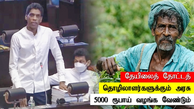 தேயிலைத் தோட்டத் தொழிலாளர்களுக்கும் அரசு 5000 ரூபாய் வழங்க வேண்டும்