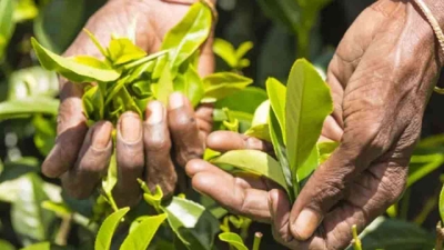 சம்பள உயர்வு ஒப்பந்தம் இன்று கைச்சாத்து