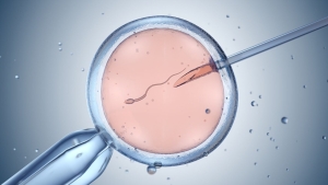 அரச வைத்தியசாலையிலும் இனி IVF