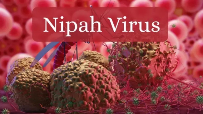 நிபா வைரஸ் குறித்து சுகாதார அமைச்சு முக்கிய அறிவிப்பு