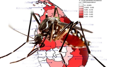 மிரட்டும் டெங்கு மற்றும் சிக்குன்குனியா