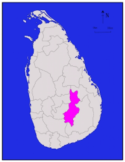 பதுளையில் மட்டும் 60 தமிழர்கள் போட்டி!