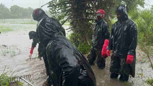 சீரற்ற வானிலையால் 618 பேர் உயிரிழப்பு