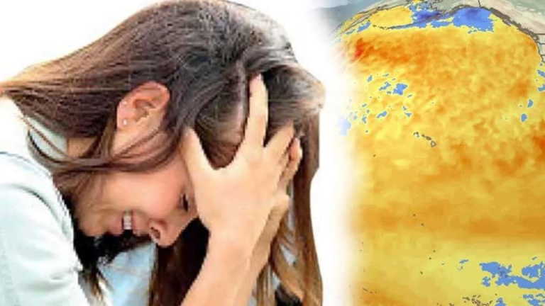 அதிகரிக்கும் வெப்பத்தால் மனநலப் பிரச்சினைகள் உயர்வு